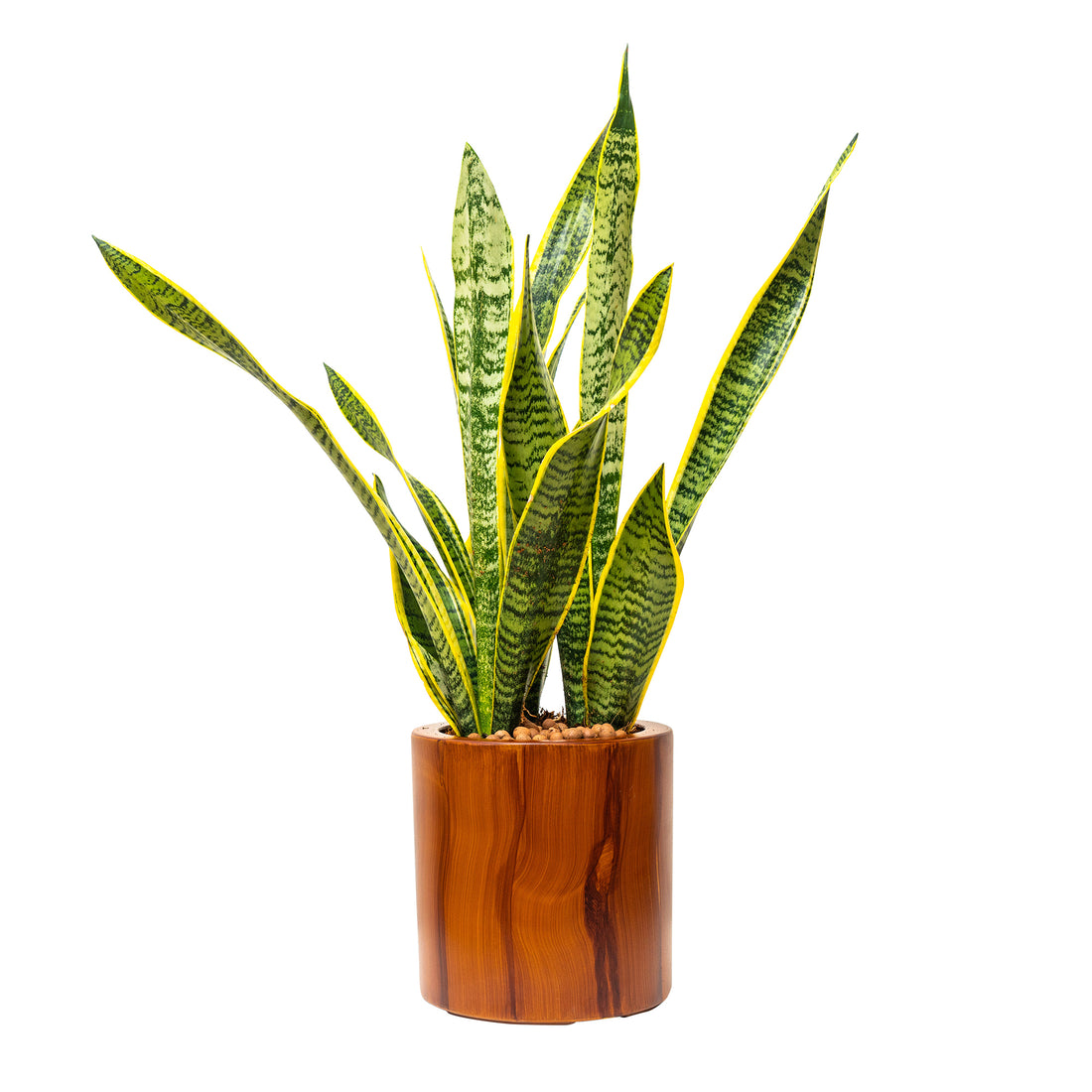 7.8 In. Dark Wood Plastic Self Watering Planter Pot Dark Brown Abs