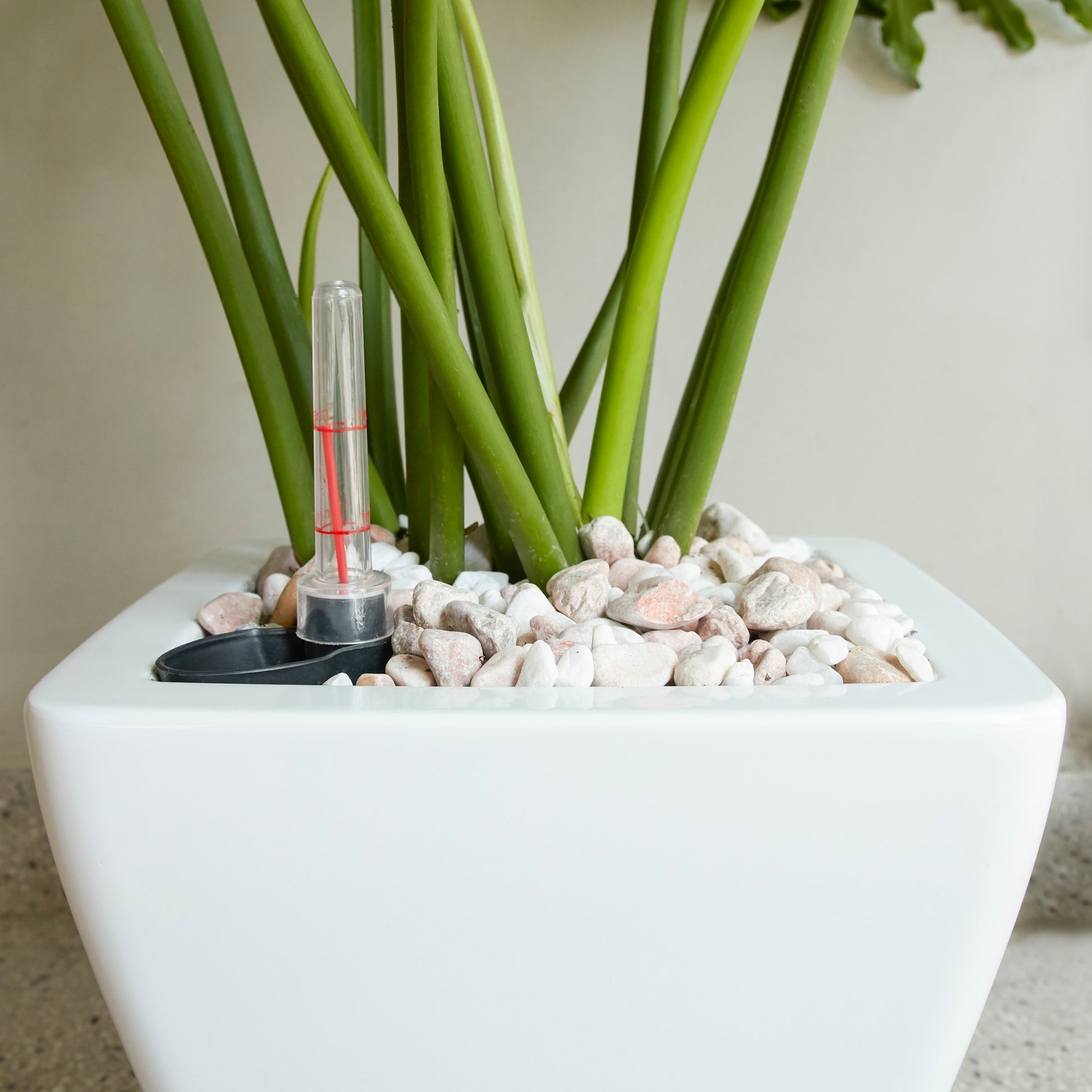 2 Pack Smart Self Watering Planter Pot For Indoor And Outdoor White Square Cone White Abs