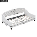 Modern Luxury Tufted Button Daybed,Twin,Beige Box Spring Not Required Twin Beige Wood Velvet Upholstered