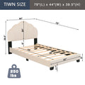 Upholstered Twin Size Platform Bed For Kids, Wooden Bed Frame With Slatted Bed Base, No Box Spring Needed, Cute Bed Frame With Shell Design Headboard For Girls Boys Teens, Beige Box Spring Not Required Twin Beige Wood Kids Velvet Acacia Wood