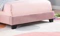 Upholstered Twin Size Platform Bed For Kids, Wooden Bed Frame With Slatted Bed Base, No Box Spring Needed, Cute Bed Frame With Shell Design Headboard For Girls Boys Teens, Pink Box Spring Not Required Twin Pink Wood Kids Velvet Acacia Wood