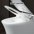 Luxury Smart Toilet With Dryer And Warm Water, Elongated Bidet Toilet With Heated Seat, With Remote Control, Led Night Light, Power Outage Flushing, Soft Close Cover,Whit White Ceramic