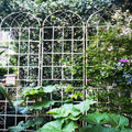 2 Pack Metal Garden Trellis 86.7