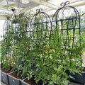 4 Pack Metal Garden Trellis 71