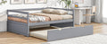 Twin Size Wood Daybed With Twin Size Trundle, Gray Box Spring Not Required Twin Gray Wood Solid Wood Mdf