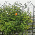 4 Pack Metal Garden Trellis 71