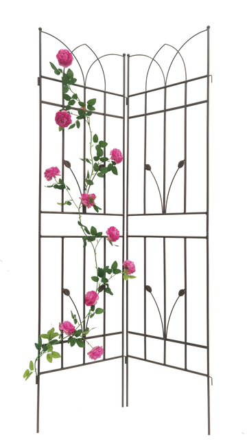 4 Pack Metal Garden Trellis 71" X 17.7" Rustproof Trellis For Climbing Plants Outdoor Flower Support Brown Brown Iron