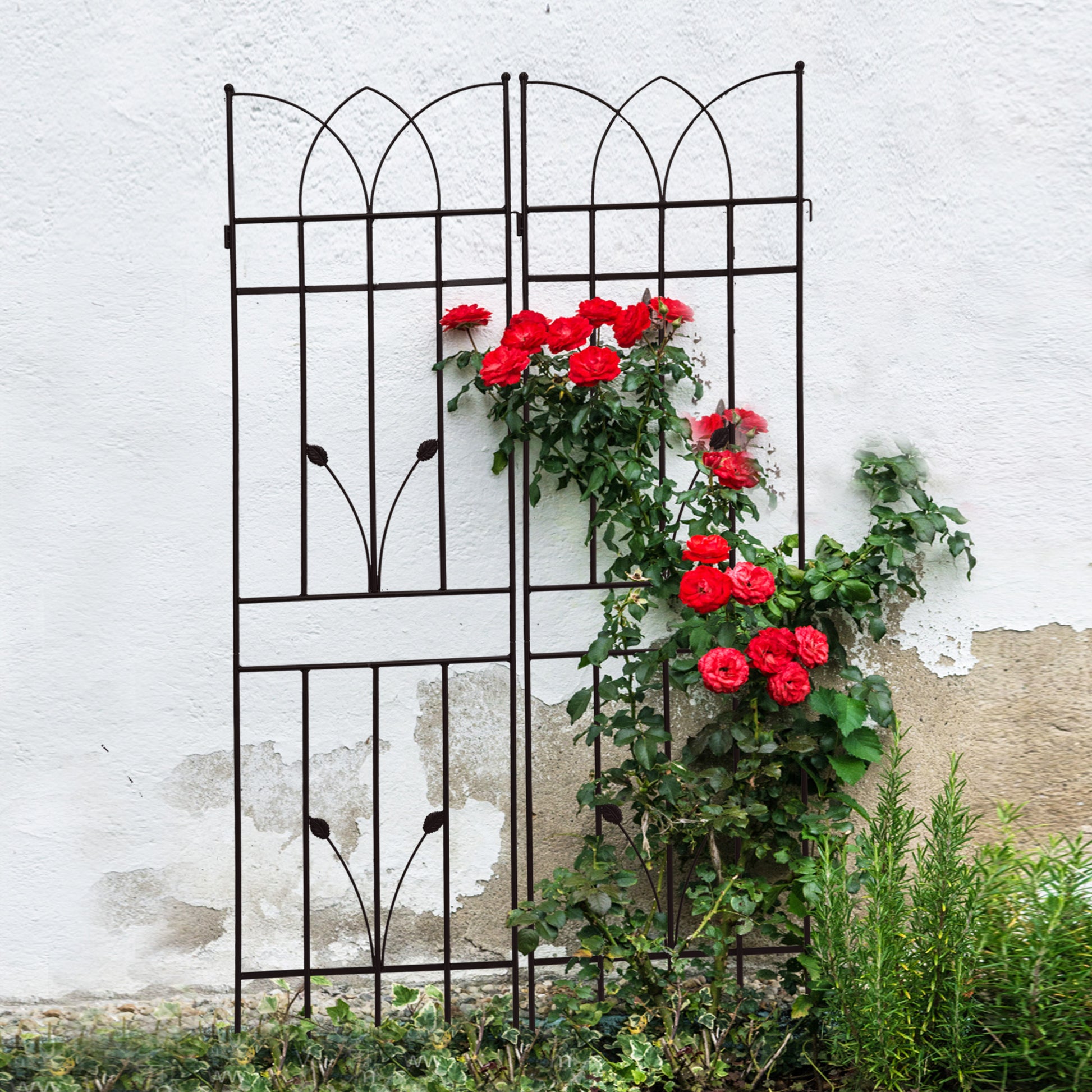 4 Pack Metal Garden Trellis 71" X 17.7" Rustproof Trellis For Climbing Plants Outdoor Flower Support Black Black Iron