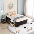 Versatile Full Bed With Trundle,Under Bed Storage Box And Nightstand .Espresso Full Espresso Pine