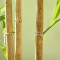 6Ft Artificial Bamboo Tree, Faux Decorative Plant In Nursery Pot For Indoor D Cor Green Plastic