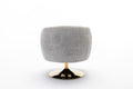 048 Chenille Fabric Accent Swivel Chair With Gold Metal Round Base,Light Gray Light Gray White Primary Living Space Modern Eucalyptus Foam Chenille