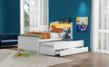 Twin Size Platform Bed With Storage Led Headboard, Twin Size Trundle And 3 Drawers, White Box Spring Not Required Twin White Bedroom Bed Frame Solid Wood Mdf