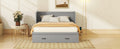 Queen Size Murphy Bed With Usb Port And A Large Drawer, Gray Gray Solid Wood Mdf