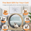 Cat Exercise Wheel Indoor Cat Treadmill With Carpeted Running Track, Safety Cat Treadmill With Latch, Weighted Wheel For Cats, Add Fun To Cat Exercise, Natural Wood Color,35.8