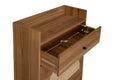 Rattan, Allen 2 Door 1 Drawer Cabinet, Shoe Rack, Double Layer, Suitable For Entrance Walnut Particle Board