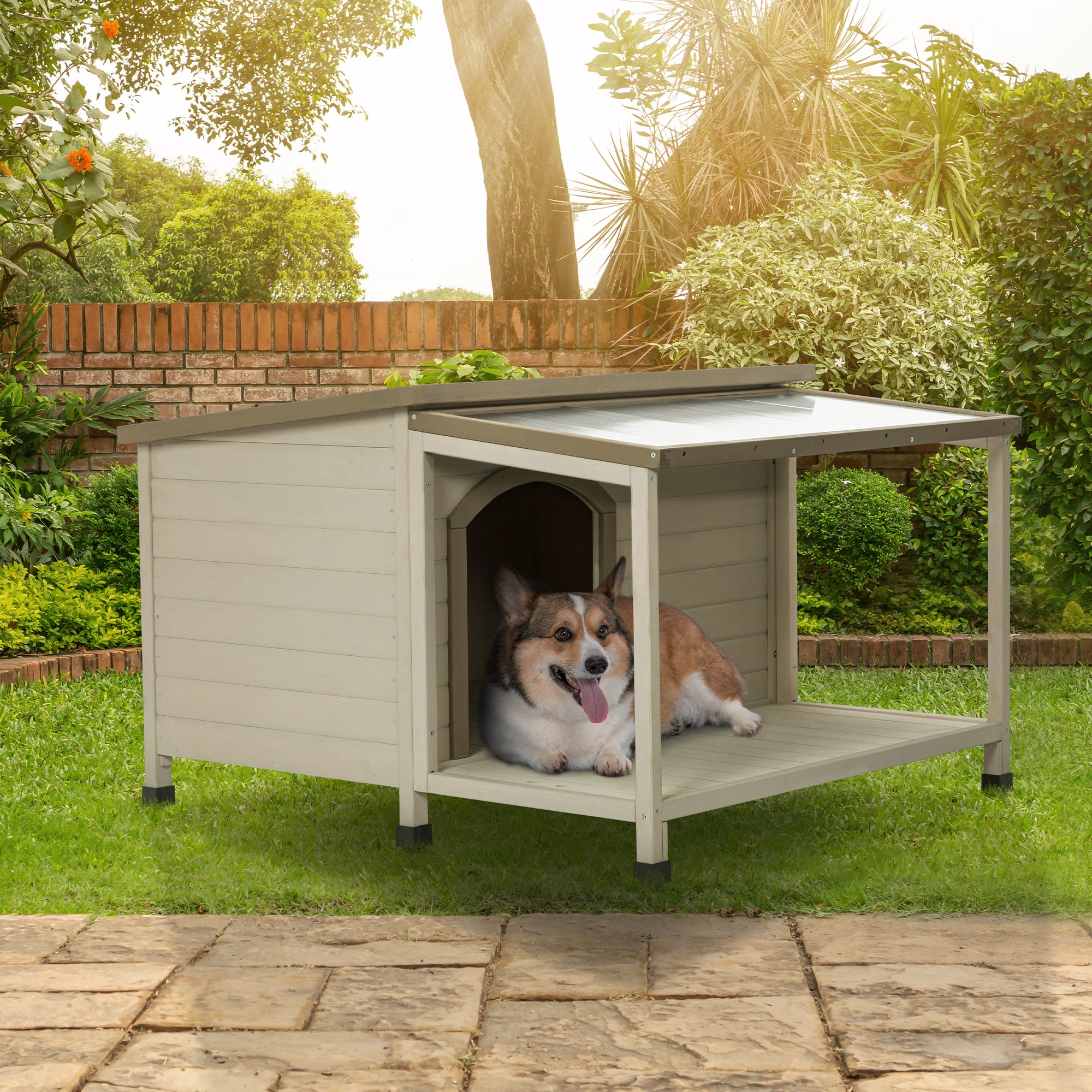 Outdoor Fir Wood Dog House With An Open Roof Ideal For Small To Medium Dogs. Dog House With Large Terrace With Clear Roof.Weatherproof Asphalt Roof And Treated Wood. Cream Solid Wood