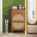 Rattan, Allen 2 Door 1 Drawer Cabinet, Shoe Rack, Double Layer, Suitable For Entrance Walnut Particle Board