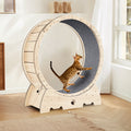 Cat Exercise Wheel For Indoor Cats, Cat Running Wheel With Carpeted Runway, Cat Sport Treadmill Wheel For Kitty'S Longer Life, Fitness Weight Loss Device, 37