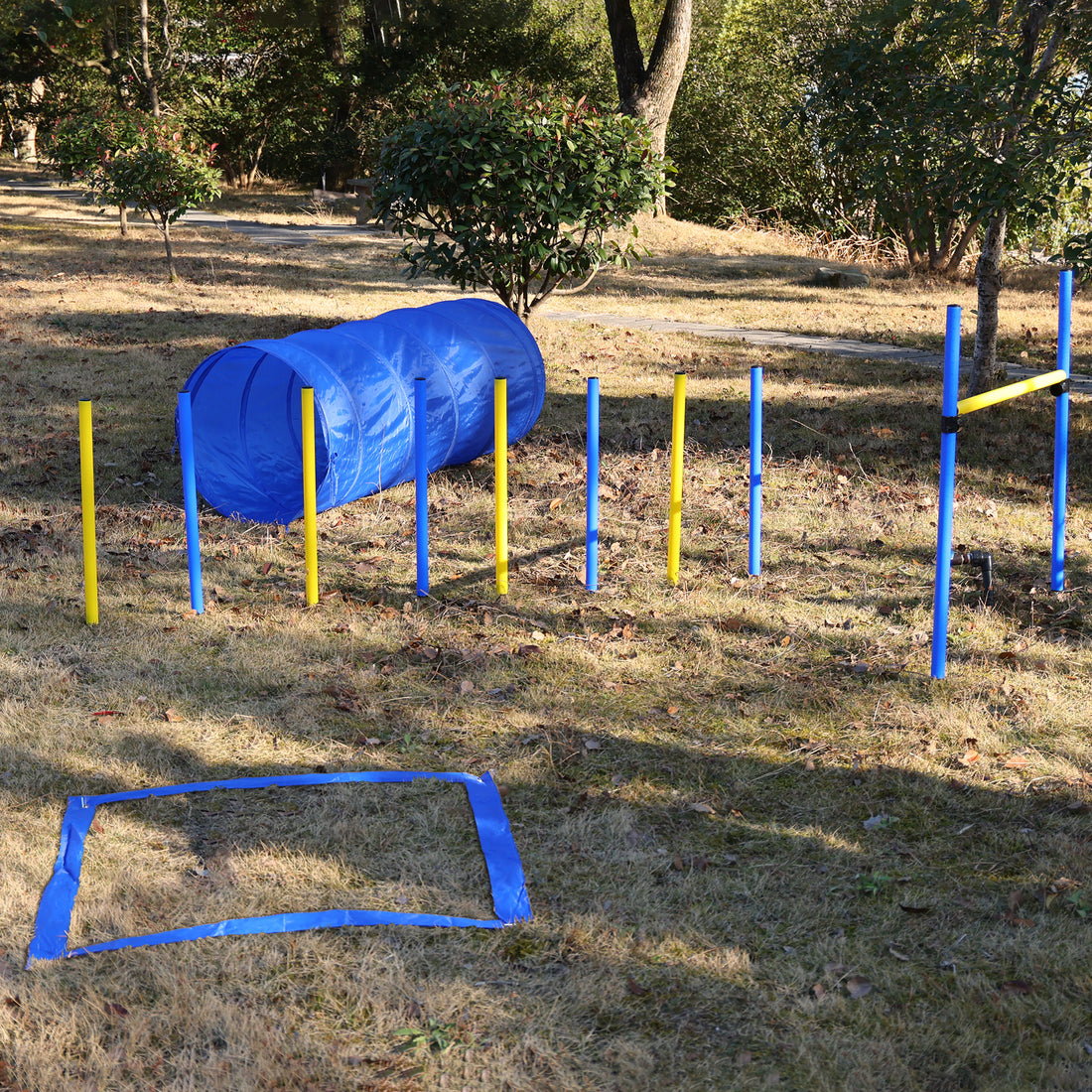 4 Pack Obstacle Dog Agility Training Blue Yellow Plastic