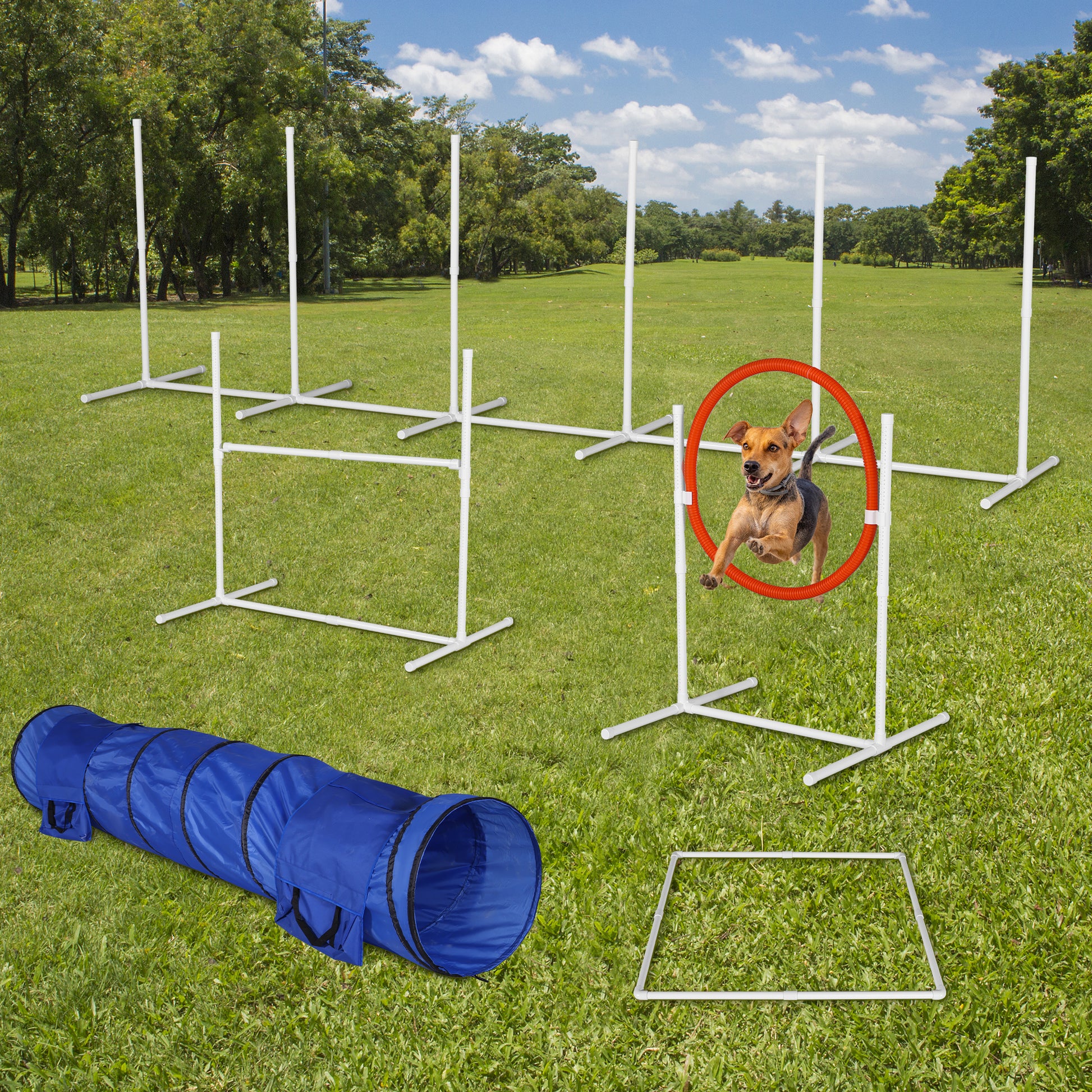 6Pack Dog Agility Training Equipment Set White Plastic