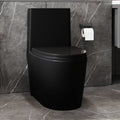 1.1 1.60 Gpf Dual Flush One Piece Toilet, Water Saving Elongated Comfort Height Floor Mounted, Soft Close Seat, 1000 Gram Map Flushing Score Toilet, Matte Black 23T01 Mb 1 Matte Black Ceramic