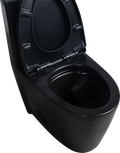 1.1 1.60 Gpf Dual Flush One Piece Toilet, Water Saving Elongated Comfort Height Floor Mounted, Soft Close Seat, 1000 Gram Map Flushing Score Toilet, Matte Black 23T01 Mb 1 Matte Black Ceramic