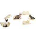 Pawhut Cat Wall Shelves, 4 Pcs Cat Wall Furniture Cat Climbing Shelf With Cat Hammock, 3 Steps, Perches, Scratching Post, For Sleeping, Playing, Beige Beige Particle Board