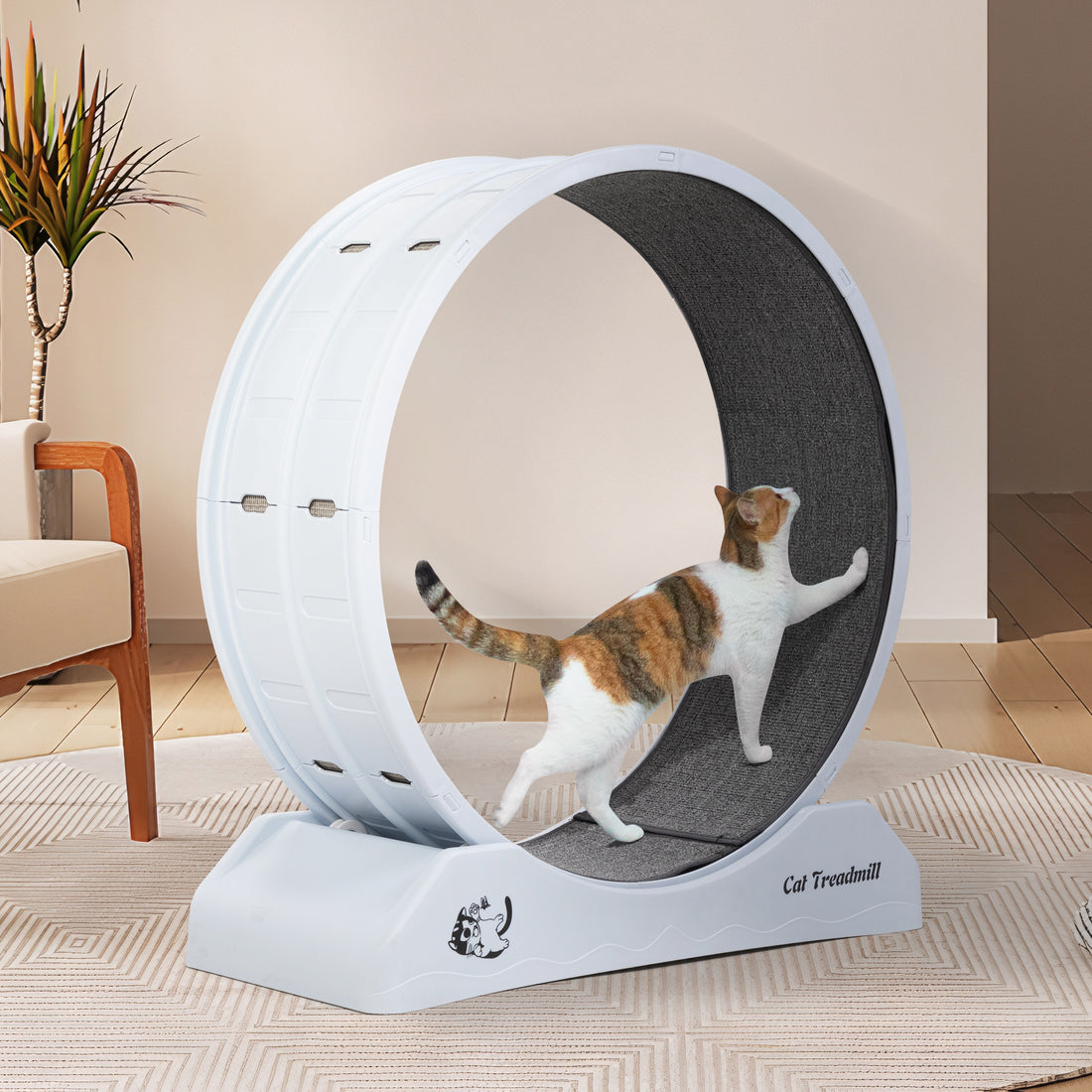 Cat Running Wheel, Small Animal Exercise Treadmill W Locking Mechanism, Carpet Runway, Cat Teaser Toy, Indoo Gray Polypropylene