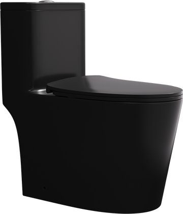 Matte Black One Piece Dual Flush Elongated Toilet Matte Black Ceramic