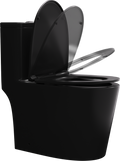 Matte Black One Piece Dual Flush Elongated Toilet Matte Black Ceramic