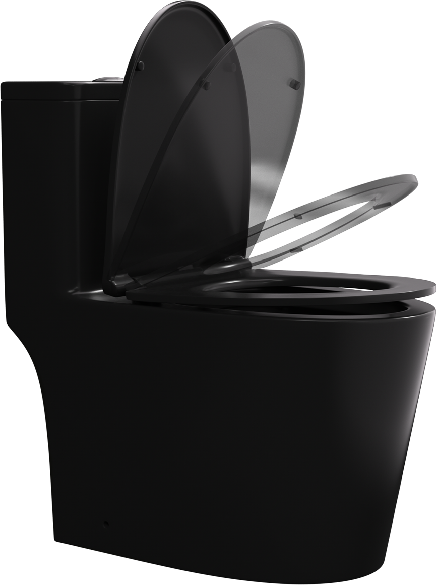 Matte Black One Piece Dual Flush Elongated Toilet Matte Black Ceramic