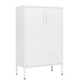 Suitable For Steel Storage Cabinets In Living Rooms, Kitchens, And Bedrooms, 2 Door Miscellaneous Storage Cabinet, Garage Tool Storage Cabinet, And Office File Cabinet 2 Movable Partitions 3 4 Shelves White Modern Metal