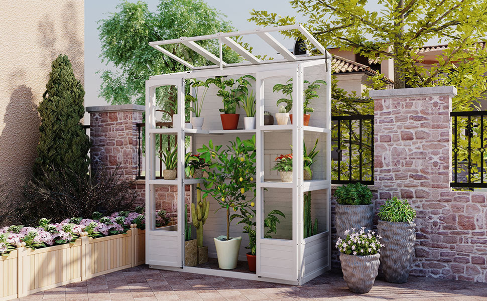 78 Inch Wooden Greenhouse Cold Frame With 4 Independent Skylights And 2 Folding Middle Shelves, Walk In Outdoor Greenhouse, White White Seats 2 Garden & Outdoor Casual Wood