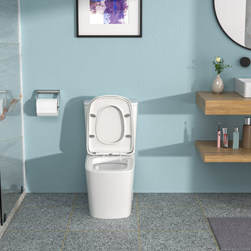 Ceramic One Piece Toilet,Dual Flush With Soft Clsoing Seat White Ceramic