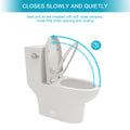 Ceramic One Piece Toilet,Single Flush With Soft Clsoing Seat White Ceramic