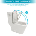 Ceramic One Piece Toilet,Single Flush With Soft Clsoing Seat White Ceramic