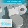 Ceramic One Piece Toilet,Dual Flush With Soft Clsoing Seat White Ceramic