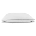 Rx2Pk 2 Pack Pillows White Foam