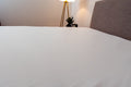 Fully Encased Mattress Protector Queen White Fabric