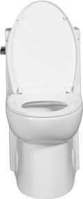 Toilet Floor Bolts And Caps Set Only, 23T03 Gwp03 White Acrylic
