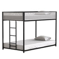 Adam Twin Twin Bunk Black With White Mesh Guard Rail Box Spring Not Required Twin Black Metal Bedroom Bunk Metal