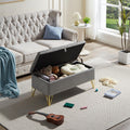 D58Grey Gray Fabric