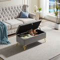 D58Grey Gray Fabric
