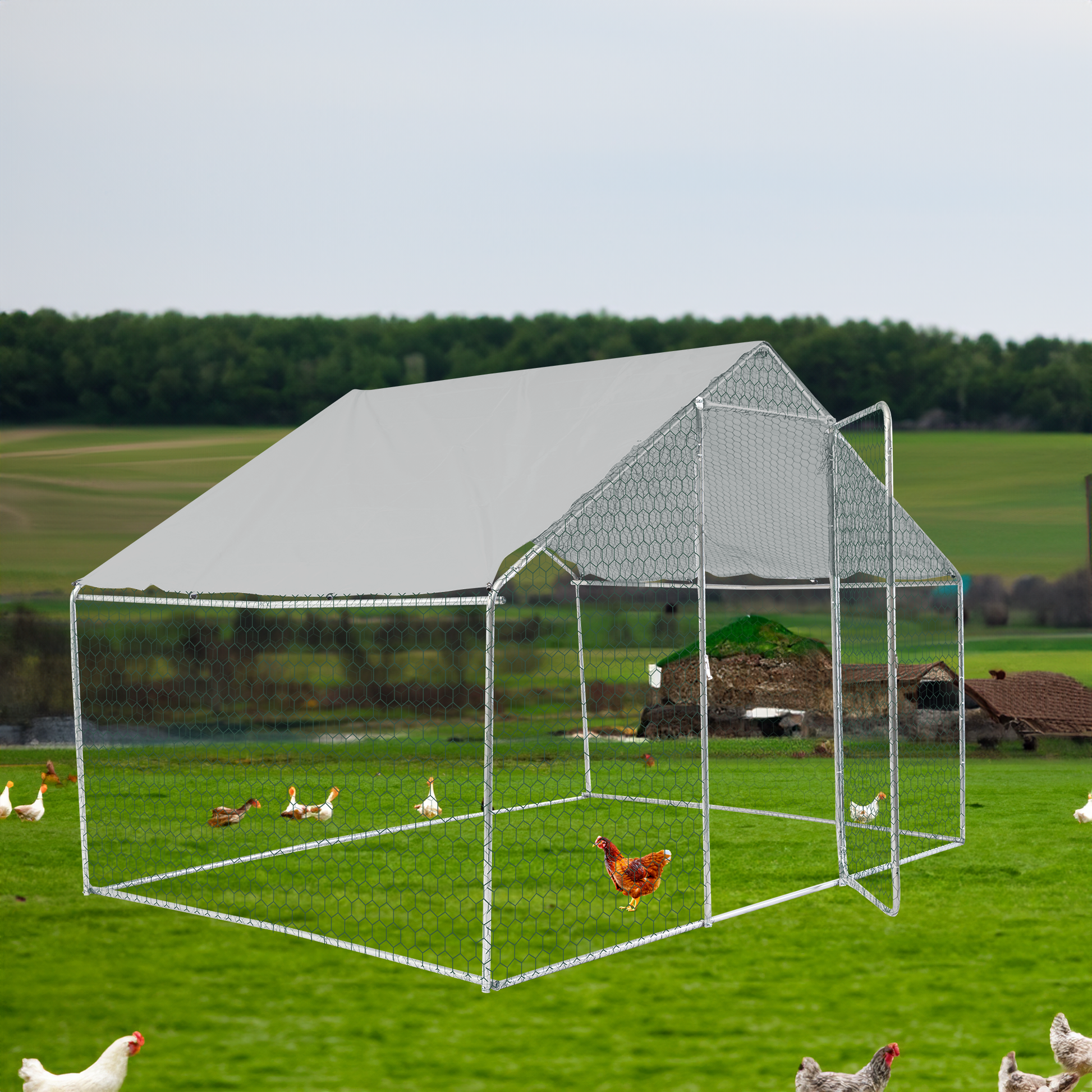 Xpt033 Outdoor Chicken Coop Metal Big Space 10*6*6Ft Silver Grey Metal