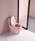 1.1 1.60 Gpf Dual Flush One Piece Toilet, Water Saving Elongated Comfort Height Floor Mounted, Soft Close 1000 Gram Map Flushing Score Toilet, Rose 23T01 Rs Rose Pink Ceramic