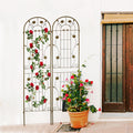 2 Pack Metal Garden Trellis 86.7