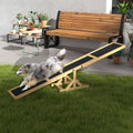 Pawhut Wooden Dog Agility Seesaw For Training And Exercise, Platform Equipment Run Game Toy, Weather Resistant Pet Supplies, 71