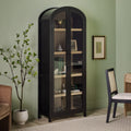 Modern 5 Shelf Arched Tall Bookcase With Glass Doors Black Black Mdf Mdf