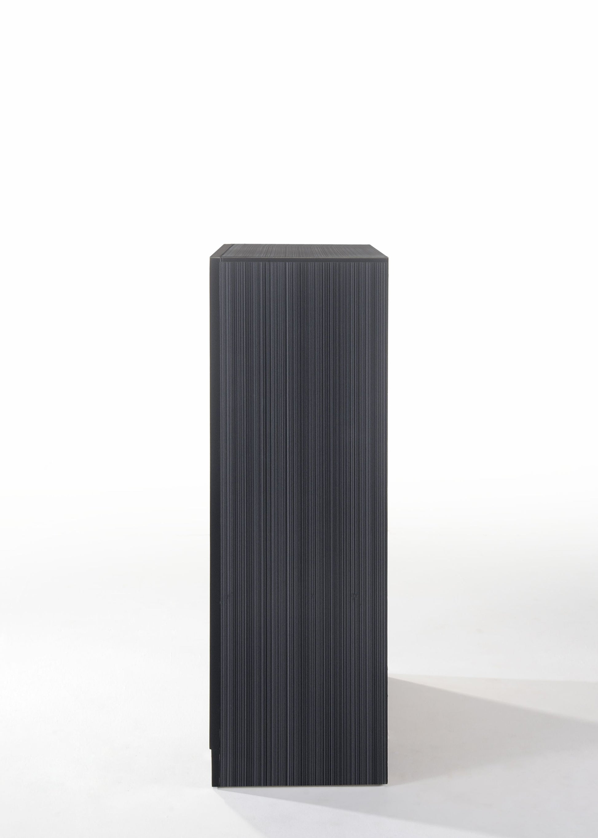 Naima Black Finish Chest Black Synthetic Wood