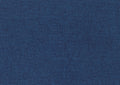 1Pc Daybed With Trundle Blue Fabric Upholstery Wooden Frame Modern Home Furniture Box Spring Not Required Blue Wood Primary Living Space Modern,Transitional Polyester Engineered Wood,Wood
